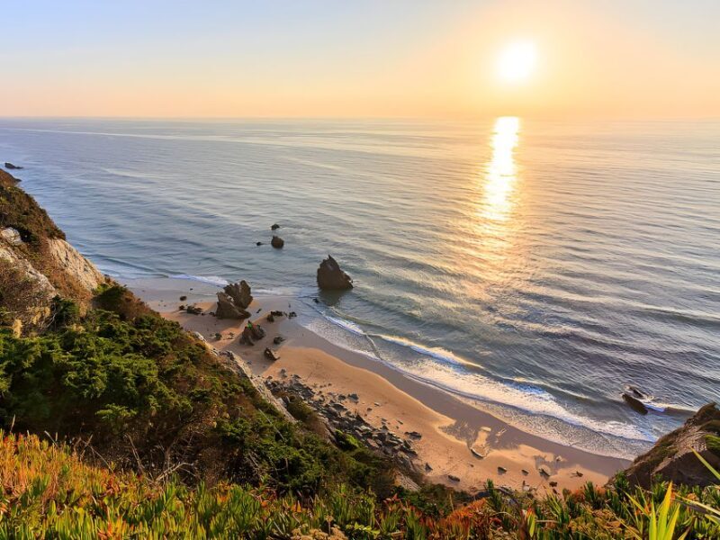 Lisbon Coast Tour: Paradise Beaches & Famous Beach Bars - Key Points