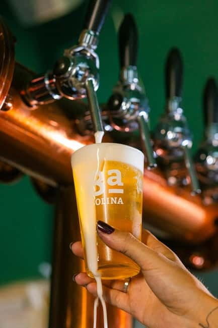 Lisbon: Craft Beer Tasting - Why This Tour Is a Great Value