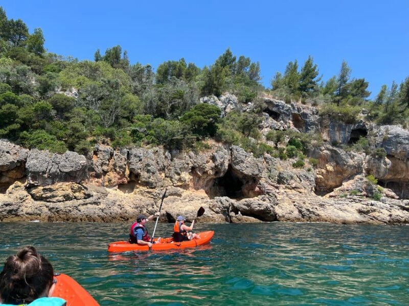 Lisbon: Discover Arrábida beaches by kayak - Final Thoughts: Who Will Love This Tour?