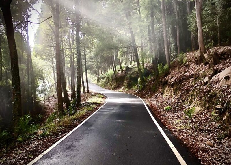 Lisbon: E-bike Trip from the Sintra Mountains to Cascais Sea - Authentic Experiences and Authenticity