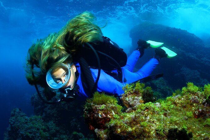Lisbon Eco-Try Dive - Diving Baptism - Considerations & Tips