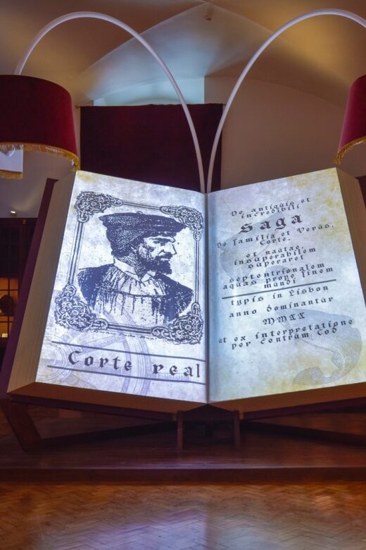 Lisbon: Entry Ticket for the History of Cod Visitor Center - Analyzing the Value