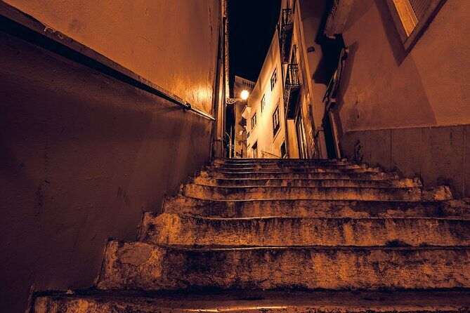 Lisbon Fado Dinner Show and Panoramic Night Tour - The Dinner and Fado Experience