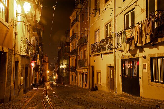Lisbon Fado Dinner Show and Panoramic Night Tour - Who Should Consider This Tour?