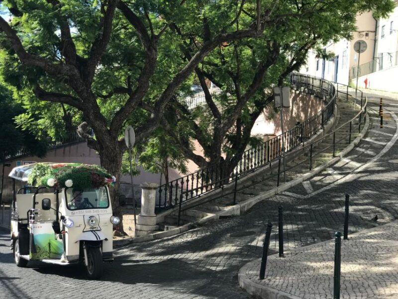 Lisbon: Famous 28 Tram Line Guided Private Tour by Tuk-Tuk - A Deep Dive into the Lisbon Tuk-Tuk Experience