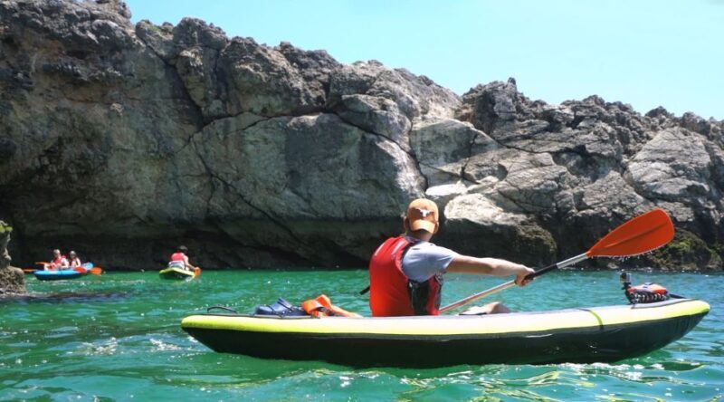Lisbon: Full-Day Kayak Tour with Picnic and Transfer - The Sum Up