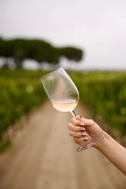 Lisbon: Full-Day Wine Tasting Tour in Setúbal ALL INCLUSIVE - Why This Tour Is Worth Your Time