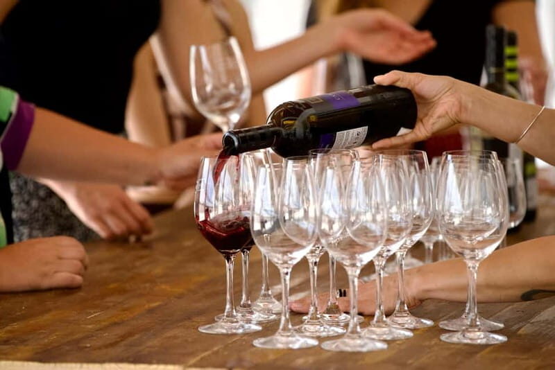 Lisbon: Full-Day Wine Tasting Tour in Setúbal ALL INCLUSIVE - FAQ