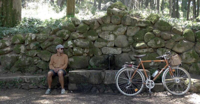 Lisbon: Guided Tour of Monsanto Park by Vintage Bike - Discover Lisbon’s Largest Forest Park on Vintage Bikes