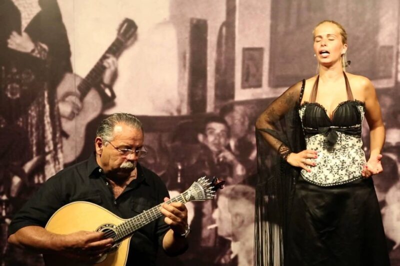 Lisbon: Half-Day Night Group Tour w/ Fado Dinner Show - Final Thoughts