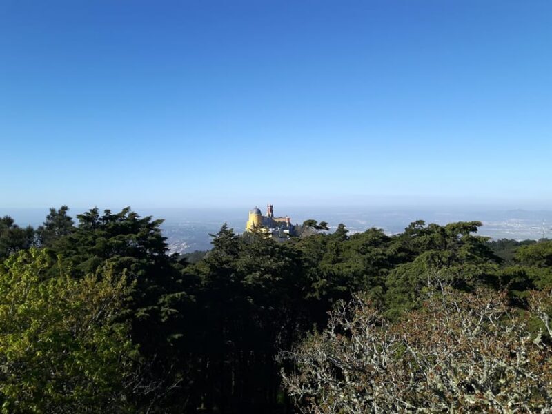 Lisbon: Half-Day Sintra Tour with Pena Palace and Regaleira - Summary: Is This Tour Right for You?