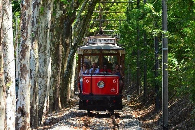 Lisbon Half-Day Tour - Who Will Get the Most Out of This Tour?