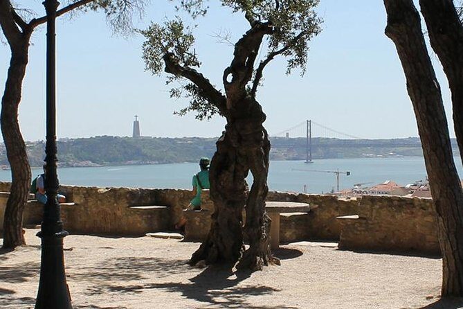 Lisbon Highlights Walking Tour - Frequently Asked Questions