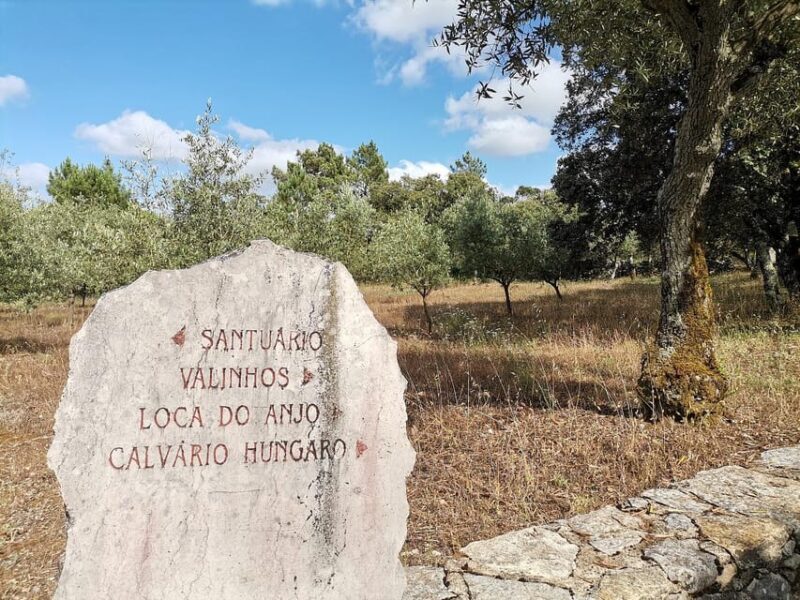 Lisbon: Holy Miracle Church Santarem & Fatima Private Tour - Lisbon: Holy Miracle Church Santarem & Fatima Private Tour — A Deep Dive into Portugal’s Sacred Sites
