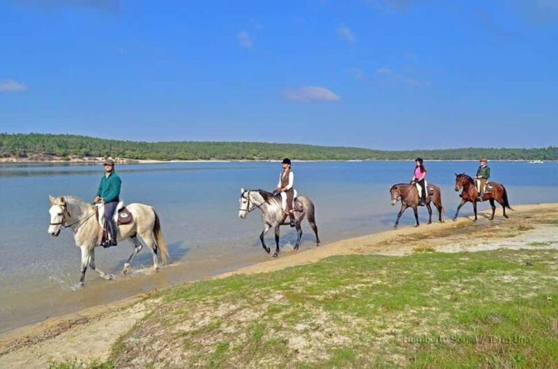 Lisbon: Horse Riding at the Beach with Lunch - What to Expect from the Tour