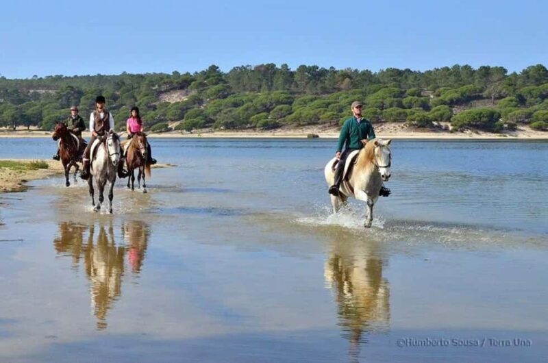 Lisbon: Horse Riding at the Beach with Lunch - The Practical Details: Booking, Price, and What’s Included