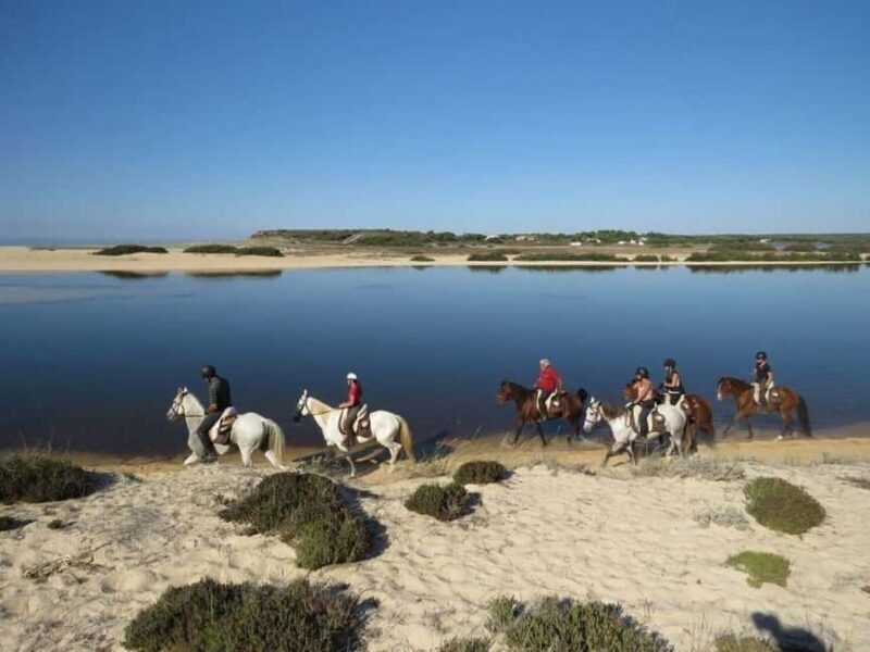 Lisbon: Horse Riding at the Beach with Lunch - Who Will Love This Experience?