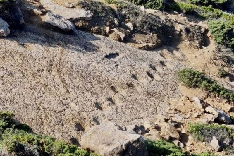 Lisbon - Jeep Tour Arrabida, Sesimbra & Dinossaur Footprints - The Experience in Detail