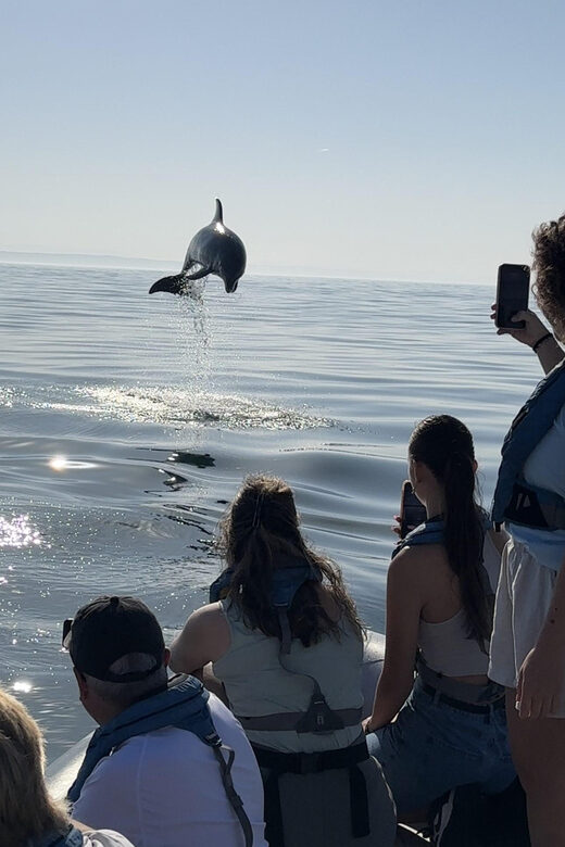 Lisbon: MAAT Entry Ticket & Dolphin Watching Boat Tour - The Sum Up: Who Will Love This Tour?