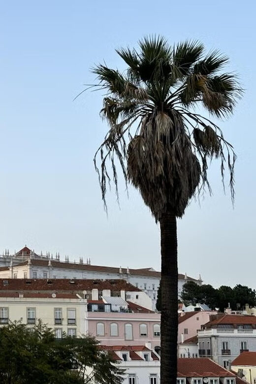 Lisbon: Mysteries and Legends of the City Guided Tour - FAQ