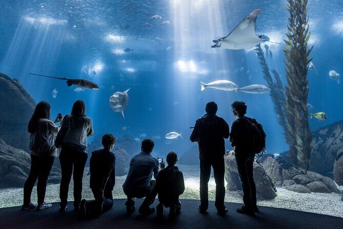Lisbon Oceanario: Aquarium Entrance Ticket - Introduction: The Lisbon Oceanarium Experience