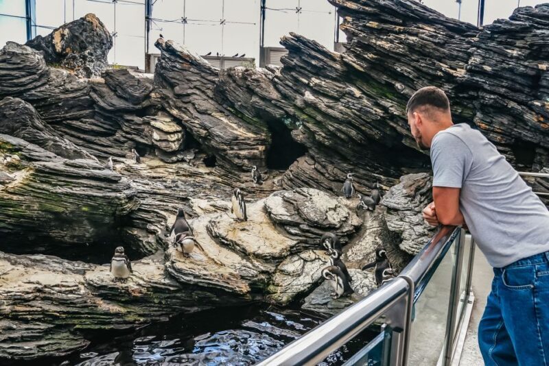 Lisbon: Oceanário de Lisboa Entrance Ticket - Frequently Asked Questions