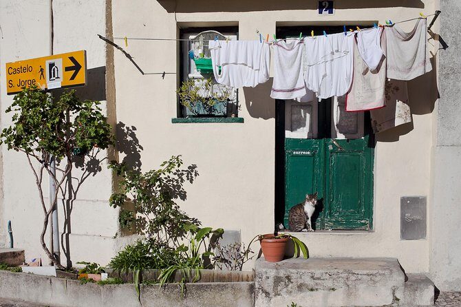 Lisbon Off The Beaten Track and Main Sights Private Walking Tour - Final Thoughts