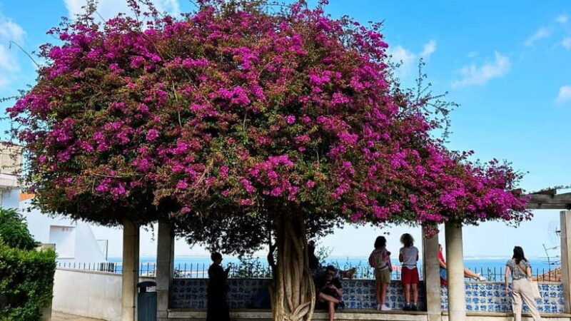 Lisbon: Old Town Tuk-Tuk Tour - Key Points