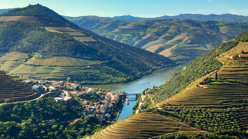 Lisbon: One Way to Douro Valley through Coimbra and Obidos - An In-Depth Look at the Experience