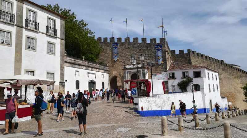 Lisbon: One Way to Douro Valley through Coimbra and Obidos - Who This Tour Is Best For