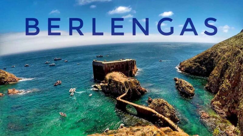 Lisbon: Peniche, Berlenga & Mafra Palace Private Day Trip - Who Should Consider This Tour?