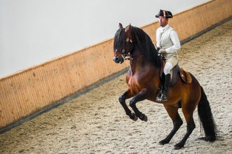 Lisbon: Portuguese Riding School Trainig with Lusitano Horse - Discovering Lisbon’s Equestrian Heritage