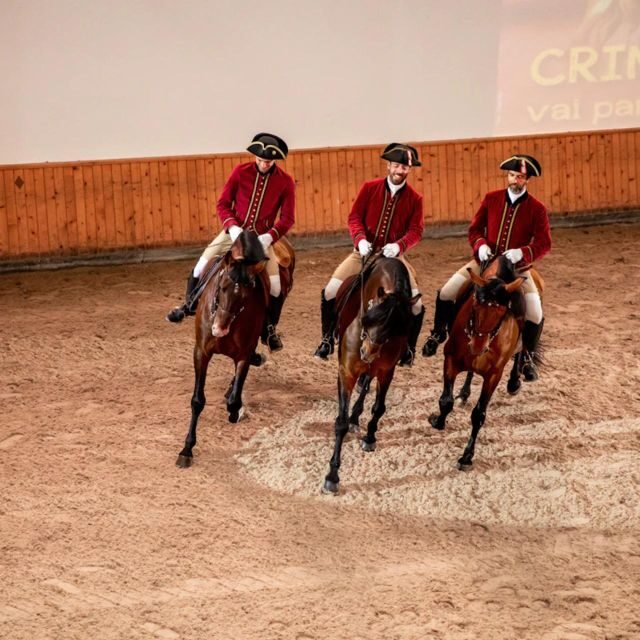 Lisbon: Portuguese Riding School Trainig with Lusitano Horse - FAQs