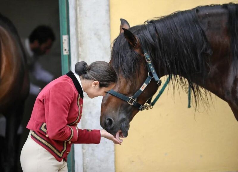 Lisbon: Portuguese Riding School Trainig with Lusitano Horse - Final Thoughts
