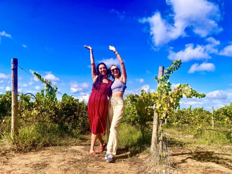Lisbon: Private All Inclusive Setúbal & Arrábida Wine Tour - Lisbon: Private All Inclusive Setúbal & Arrábida Wine Tour