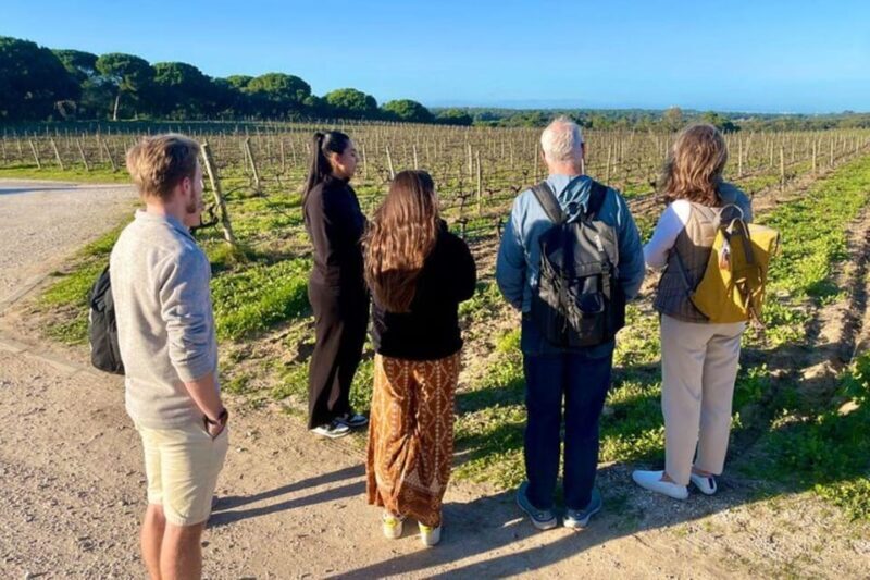 Lisbon: Private All Inclusive Setúbal & Arrábida Wine Tour - Frequently Asked Questions