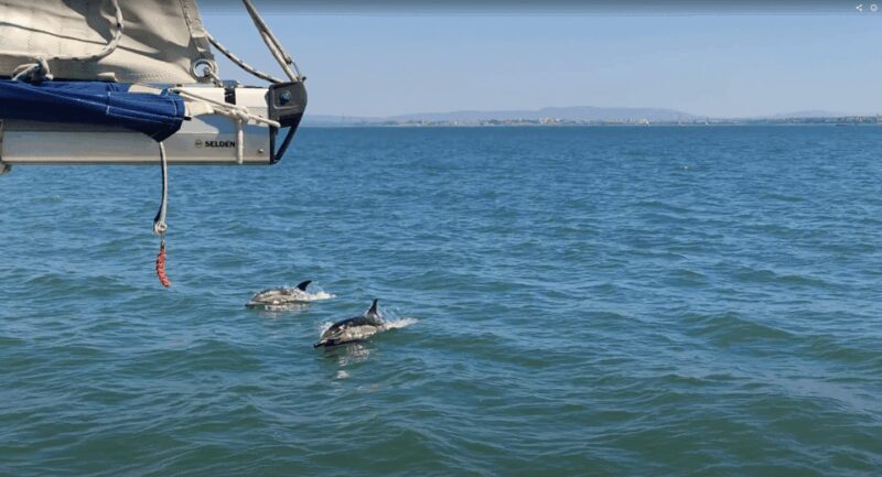 Lisbon: Private Boutique Boat Tour  Sail in Style - Final Thoughts