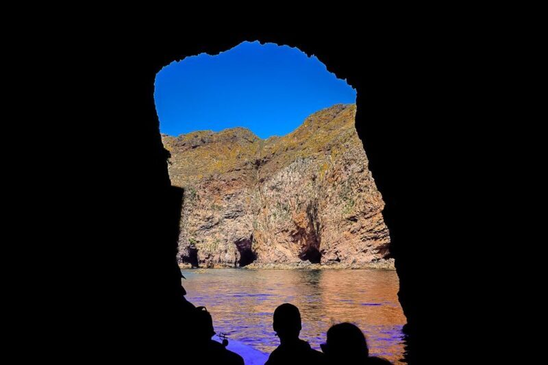 Lisbon: Private Full Day Tour to Berlengas Island - Lisbon: Private Full Day Tour to Berlengas Island