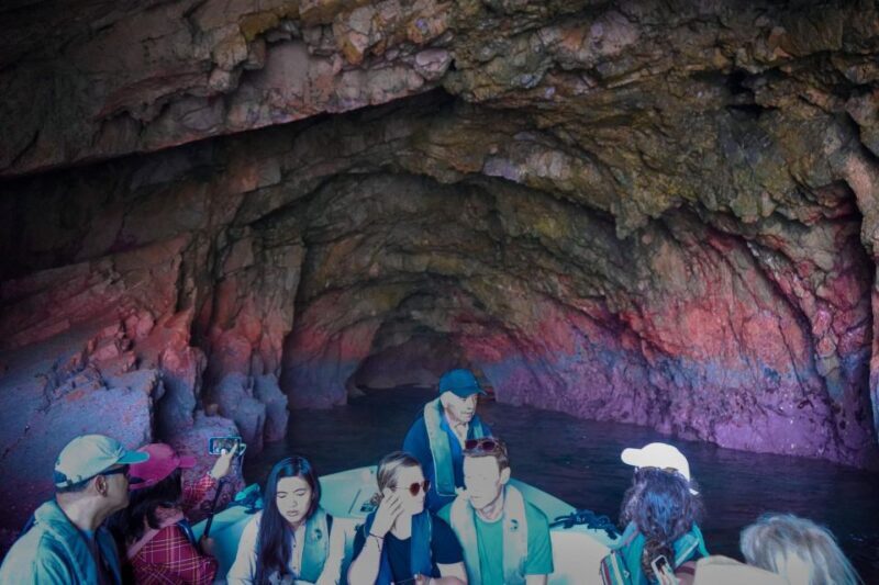 Lisbon: Private Full Day Tour to Berlengas Island - Who Is This Tour Best For?