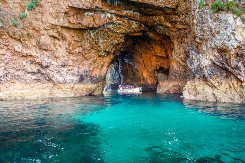 Lisbon: Private Full Day Tour to Berlengas Island - Final Thoughts