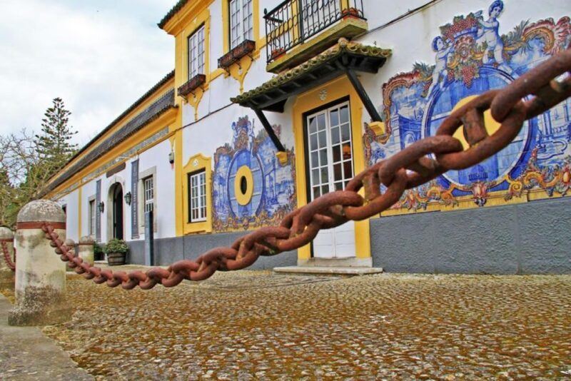 Lisbon: Private Full-Day Wine Tasting Tour in a premium car - A Detailed Look at the Experience