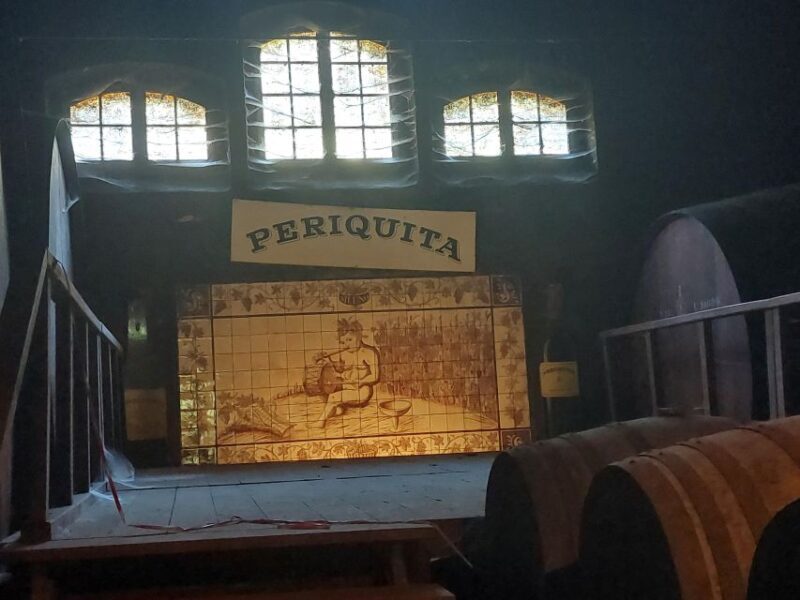 Lisbon: Private Full-Day Wine Tasting Tour in a premium car - Who Would Love This Tour?