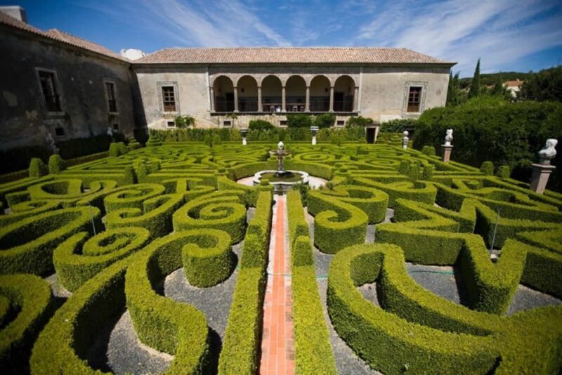 Lisbon: Private Full-Day Wine Tasting Tour in a premium car - Final Thoughts