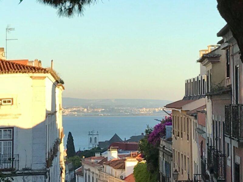 Lisbon: Private Guided Electric Tuk Tuk Tour with Tastings - Who Will Love This Tour?
