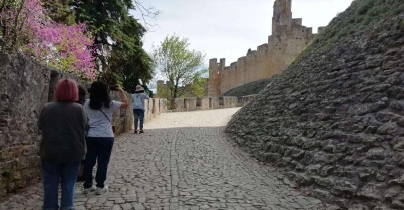 Lisbon: Private Guided Tour of Tomar, Batalha, and Alcobaça - Key Points