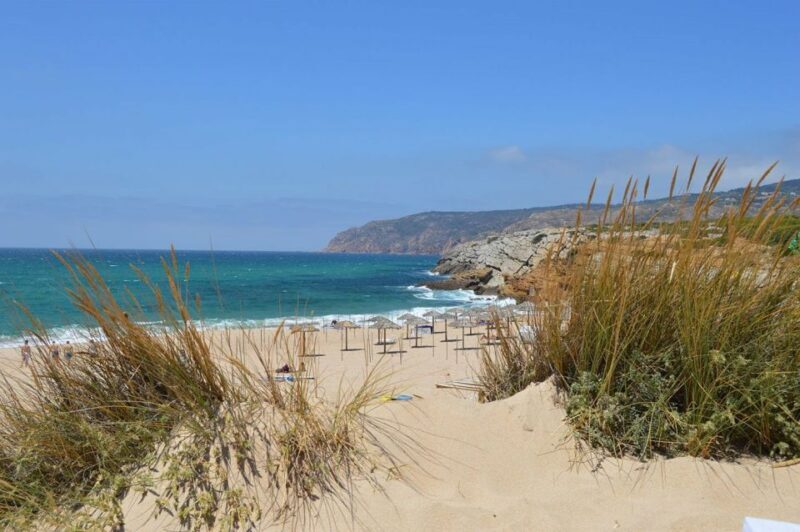 Lisbon: Private Luxury Coastline Tour - Why This Tour Works for You