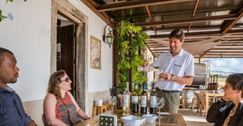 Lisbon Private Setúbal Region Wine Tasting Tour - Who Should Consider This Tour?
