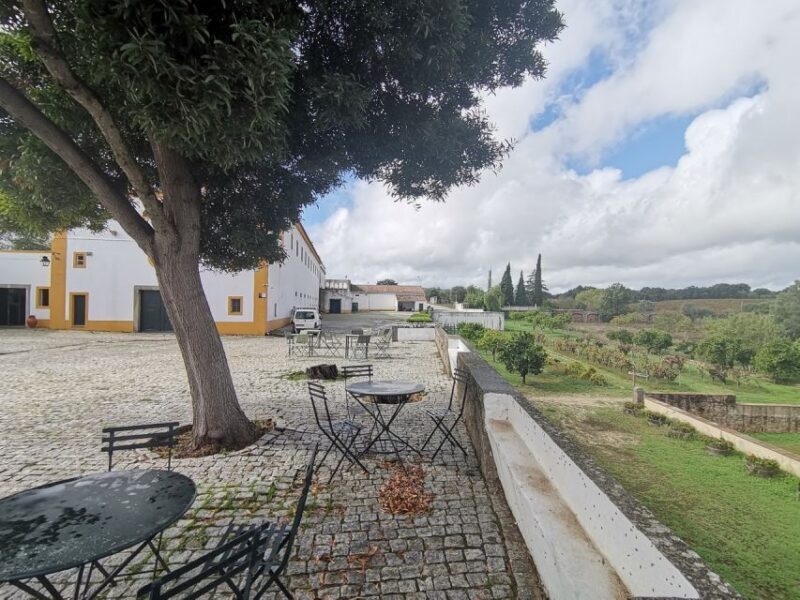 Lisbon: Private Tour Evora with Wine Tasting at the Cartuxa - Who Should Consider This Tour?