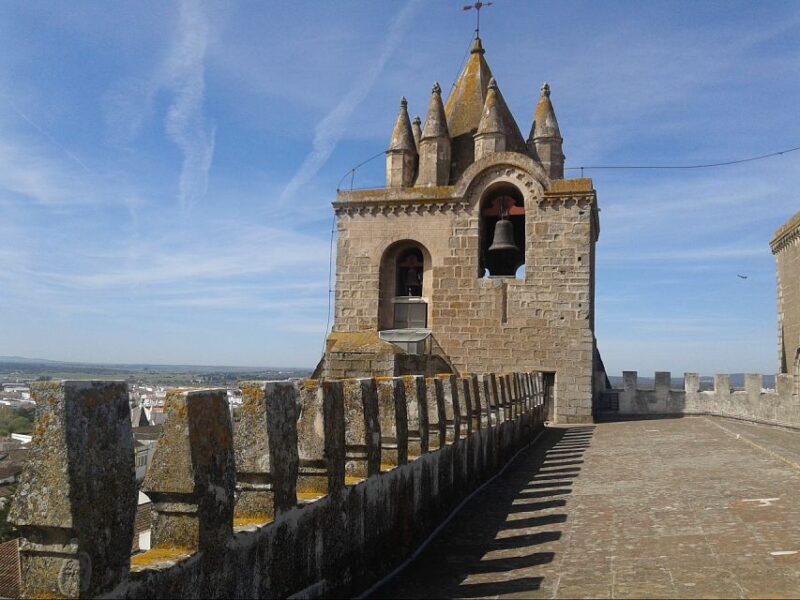 Lisbon: Private Tour to Évora and Cork Factory - Final Thoughts