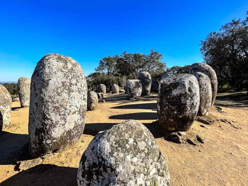 Lisbon: Private Tour to Evora with Private Transport & Guide - The Sum Up: Who Will Love This Tour?